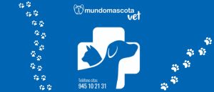 Clinica Veterinaria en Vitoria-Gasteiz